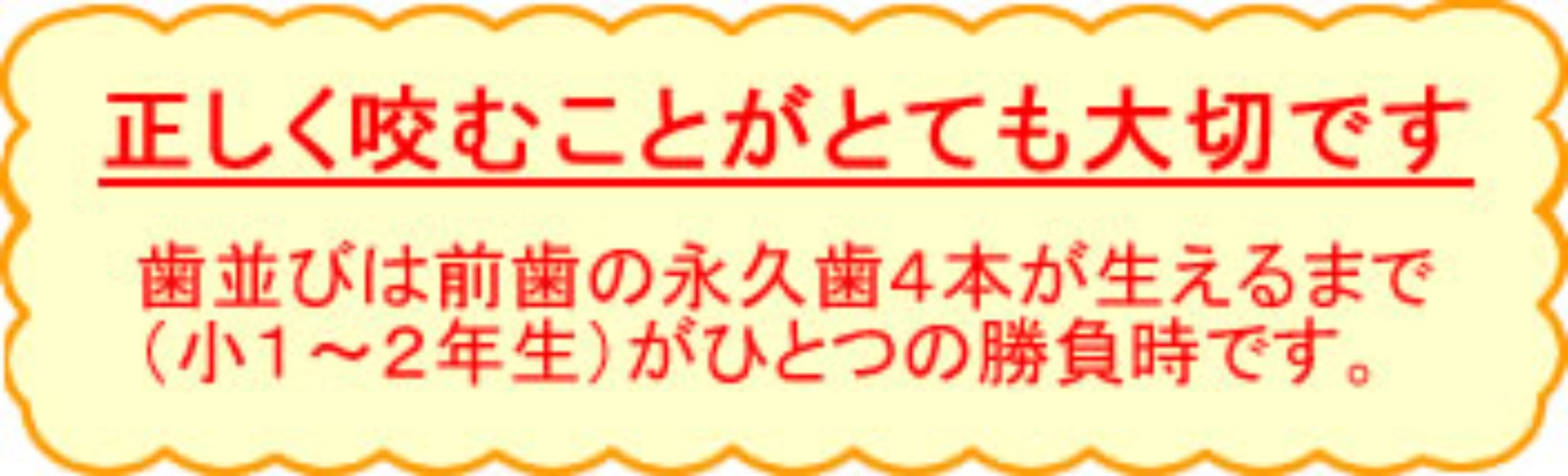 正しく咬むことがとても大切です