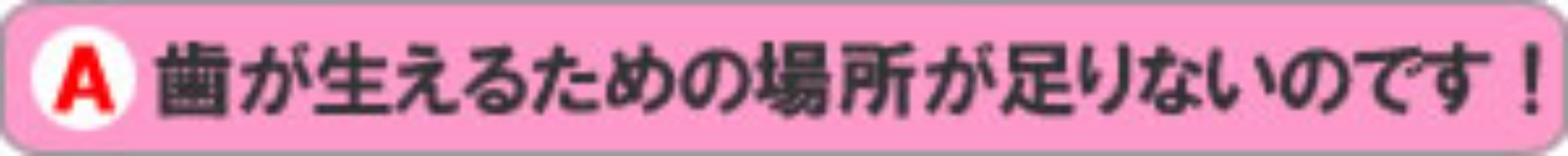 歯が生えるための場所が足りないのです