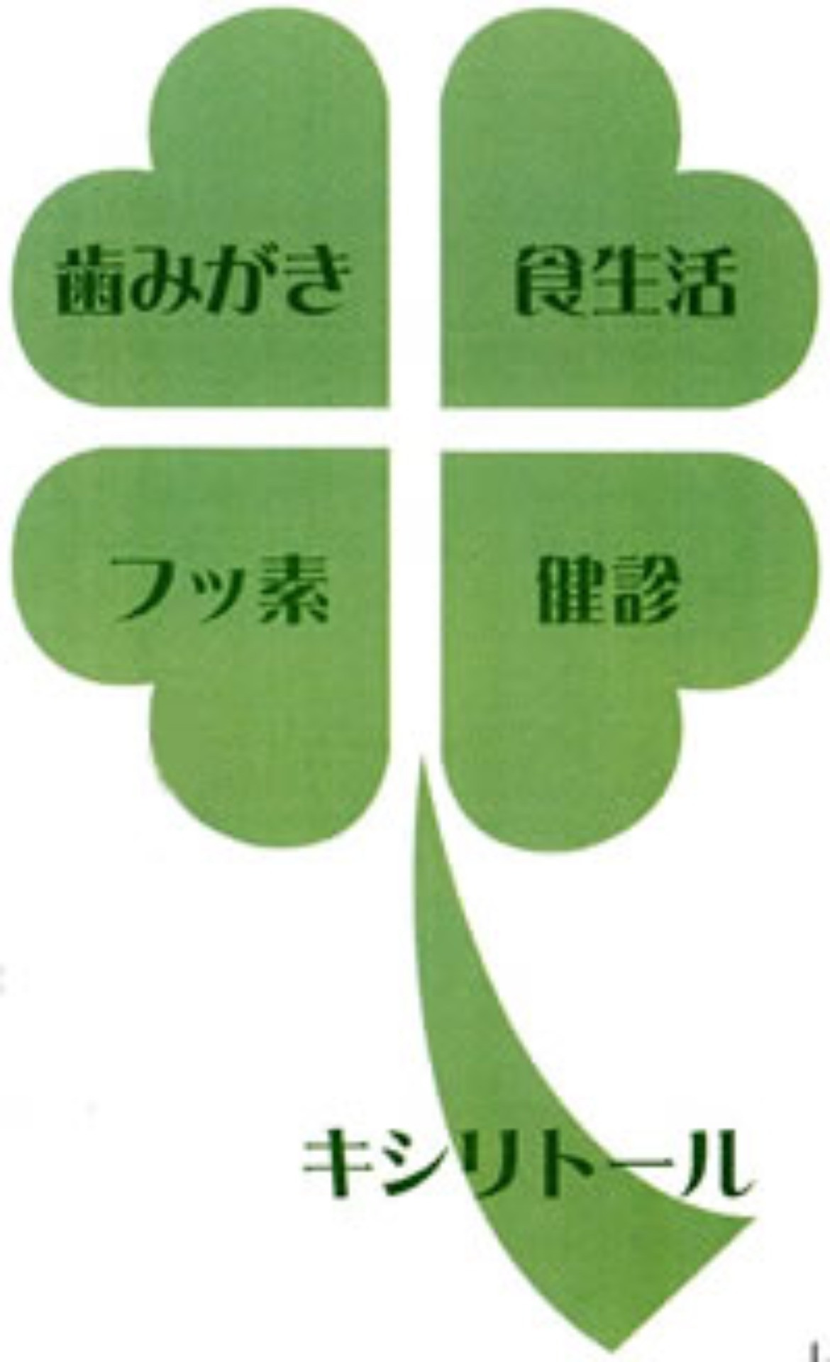 むし歯予防の四葉のクローバー