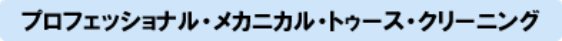 プロフェッショナル・メカニカル・トゥース・クリーニング