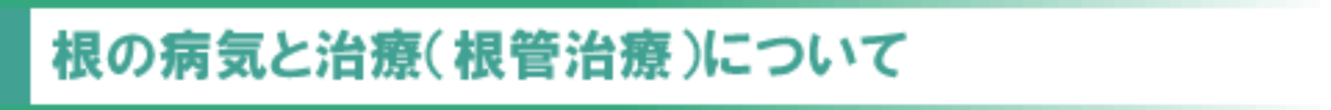 根の病気と治療（根管治療）について