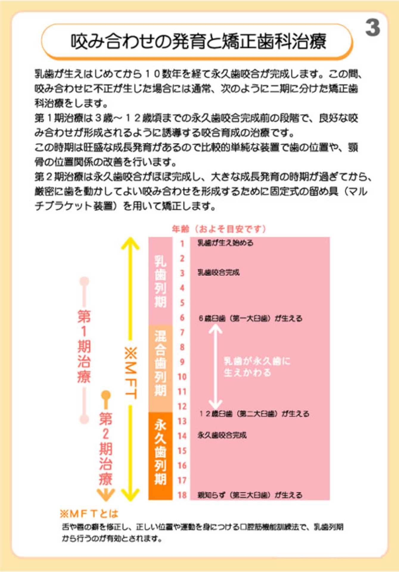 咬み合わせの発育と矯正歯科治療