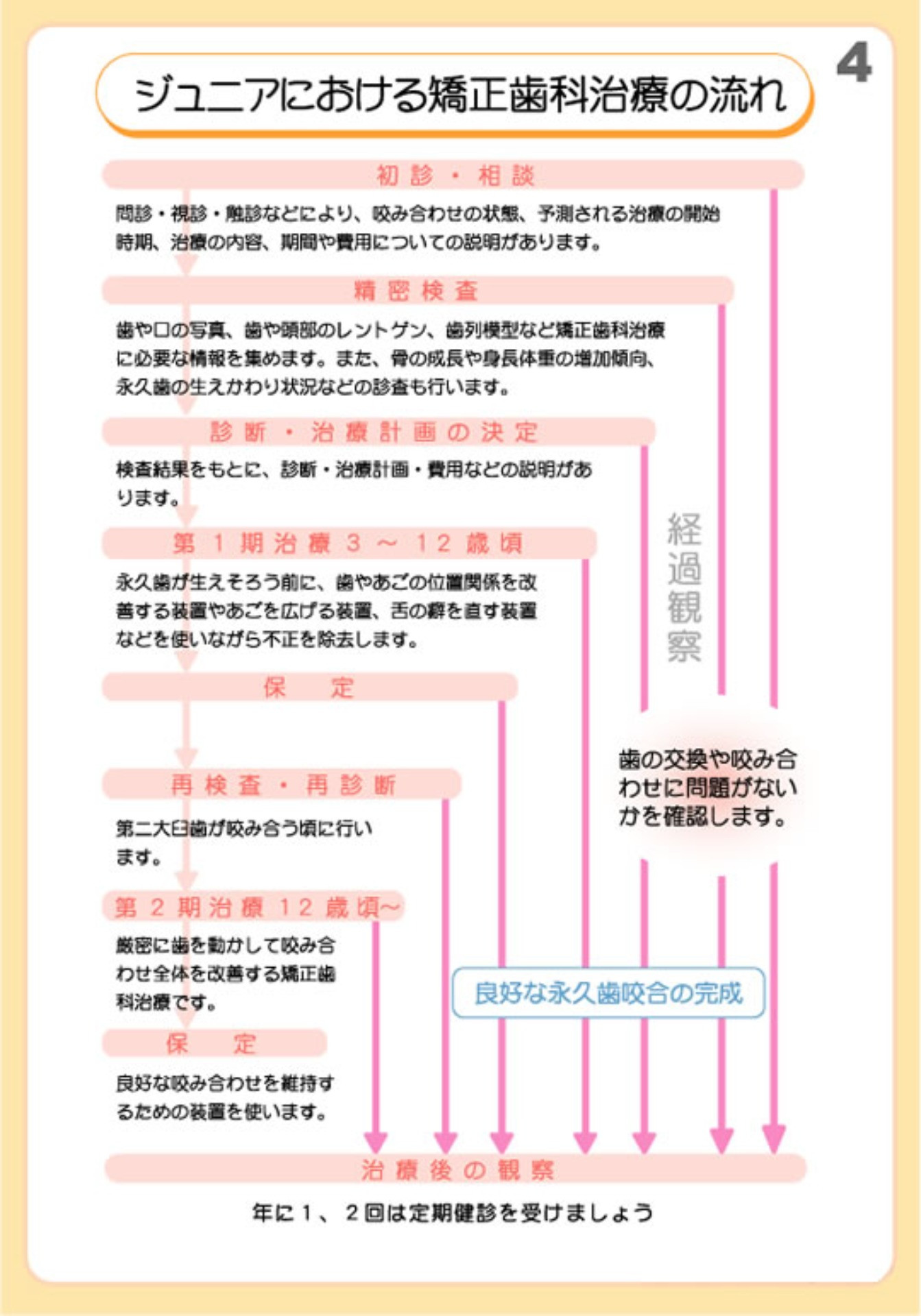 ジュニアのにおける矯正歯科治療の流れ