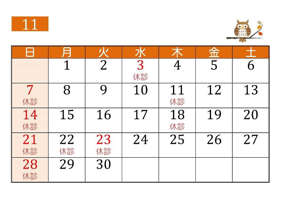 11月の診療予定です