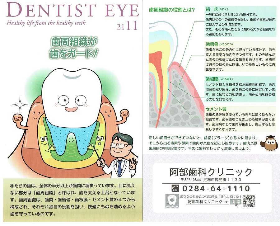 DENTIST EYE 2111 